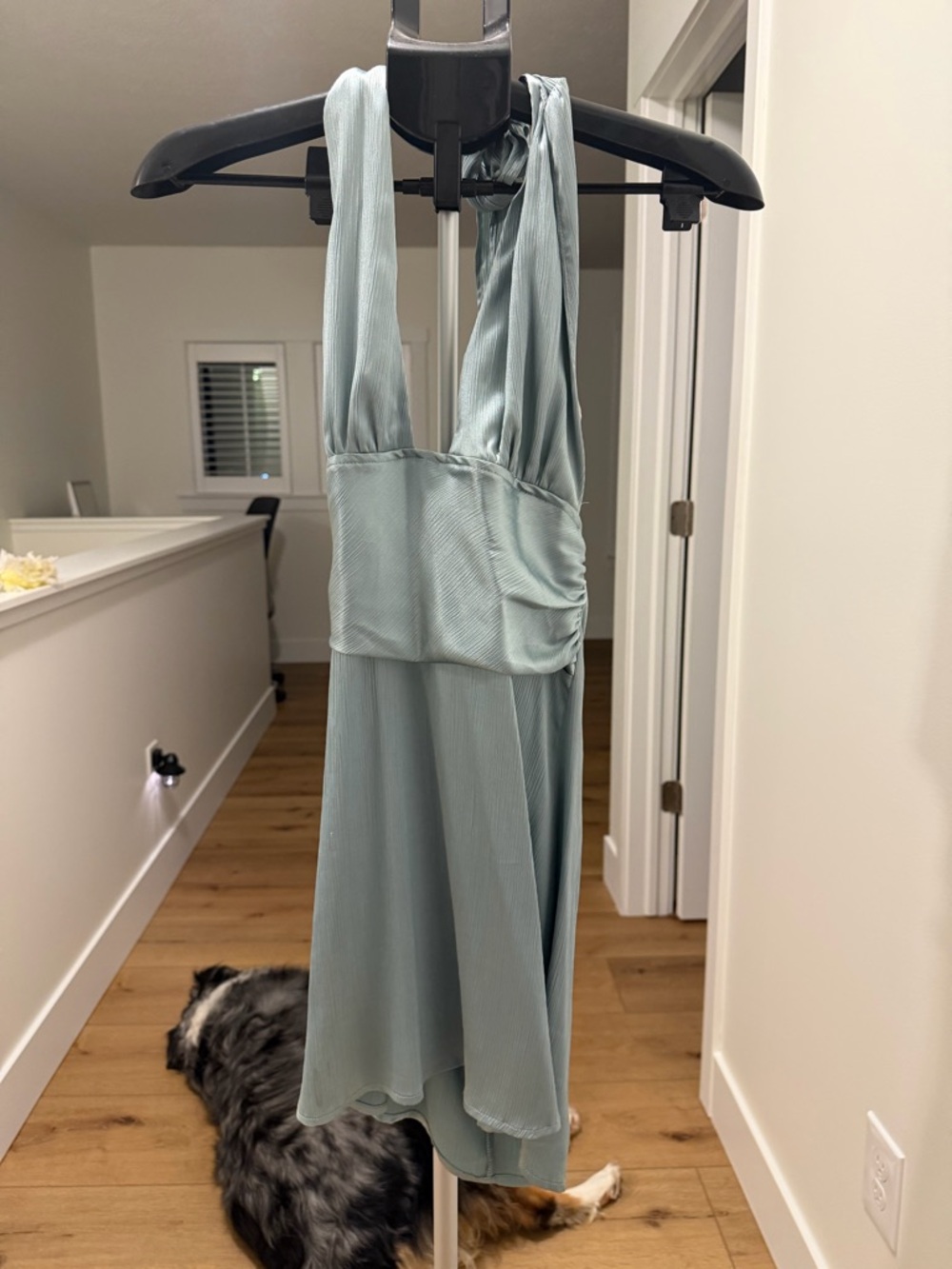 Cider Backless Halter Mini Dress in Sage Green